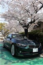 ALPINA　B４S　オサシン色々