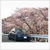 みんカラ投稿企画！愛車と桜！