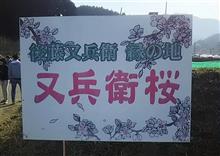 平成最後のお花見ツーリング