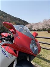 バイクでお花見〜