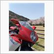 バイクでお花見〜