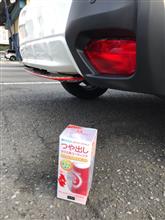 晴れの日に(^^) 晴れの日に(^^)