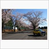 暖かくなってきましたね