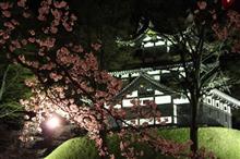 高田城百万人観桜会@2019