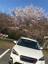 嵐山ー高雄とオリジナルとカレー… 動画付き。 嵐山ー高雄とオリジナルとカレー… 動画付き。