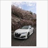 愛車と桜