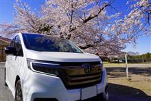 みんカラ投稿企画！愛車と桜！