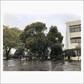 4月なのに雪が降ったよ