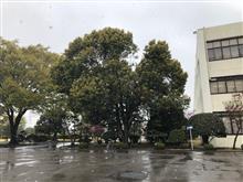 4月なのに雪が降ったよ