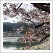 十三詣り#2-1〜法輪寺から渡月橋🌸