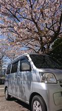 桜とハイゼット