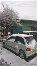 五十日　雪が降る