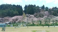 村松公園に来ました。