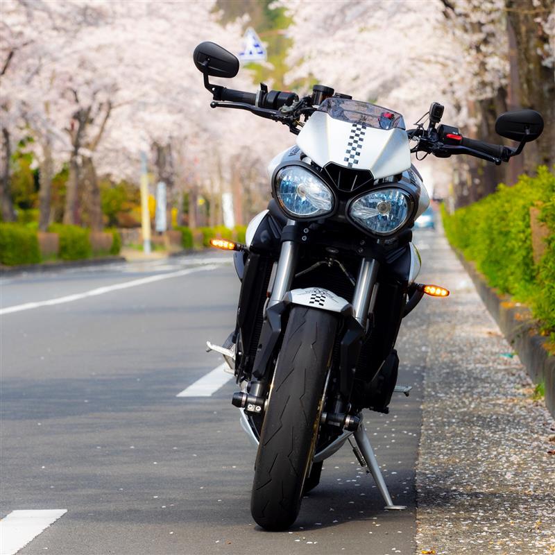 Triumph トライアンフ ストリートトリプル フライスクリーン