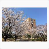 ゴールデンウィークの計画が…
