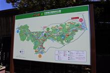 森林公園へ！