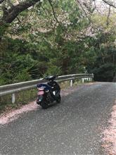 みんカラ投稿企画！愛車と桜！