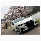 みんカラ投稿企画！愛車と桜！