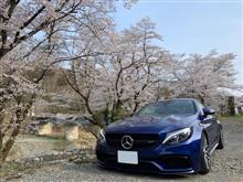 -2019 桜とC63 Coupe-　そして車高Check！