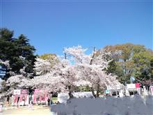 土日の あれ これ 。 土日の あれ これ 。