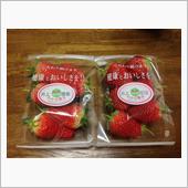 鳥取県産🍓「とっておき」