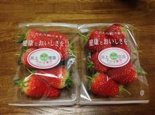 鳥取県産🍓「とっておき」