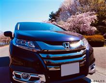 RP Stepwagonばかり写真撮っていたら。