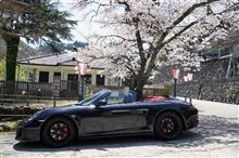 911カレラGTSでお花見 (o^^o) 911カレラGTSでお花見 (o^^o)