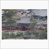 宇治でクロジ