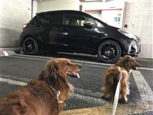 ワクチンチン ワクチンチン