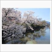 桜の季節は終わったけど