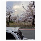 先週は雪だったのに・・・