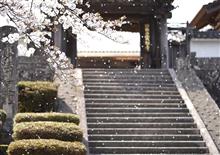 動画のススメ ~ 簡易編集 ~ 動画のススメ ~ 簡易編集 ~