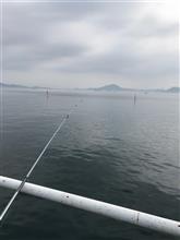 深夜からの遊び♪