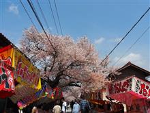 岡山県北で桜めぐり