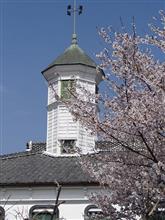 サクサク咲く佐久の桜
