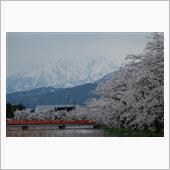 桜景🌸【上越】～高田城百万 ...