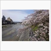 京阪プレミアムカーで京都へ花 ...