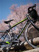 自転車にハマった理由 自転車にハマった理由