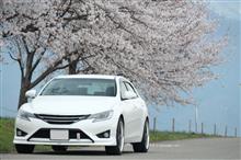 桜景🌸【北信州】~飯山・中野・須坂~ 桜景🌸【北信州】~飯山・中野・須坂~