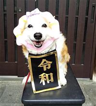 令和でポージング