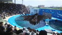 うみの杜水族館