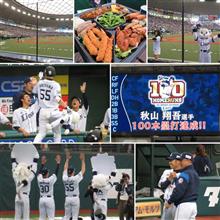 野球観戦（埼玉西武vs北海道日本ハム）