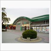 各地のセリカディの始まりはこ ...