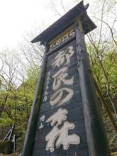 都民の森 やっぱ痩せなきゃダメみたい(&gt;_&lt;)