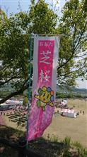 八王子山公園の芝桜