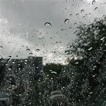 大粒の雹が降ってきた(ﾟoﾟ;)