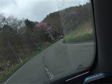 Run in TANDEM by BACK ROAD
