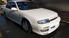 朝から洗車。