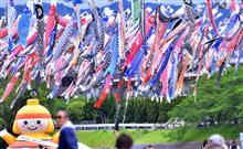 　鯉は滝を登って竜になる （￣□￣；